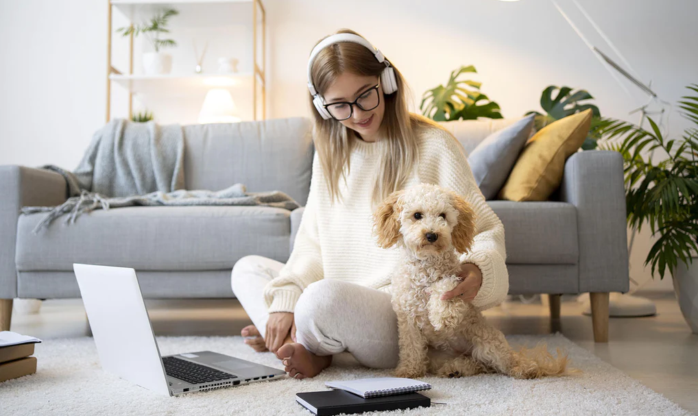 The Benefits of Single-Ingredient Dog Treats